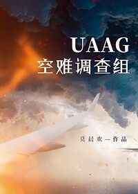 UAAG空难调查组小说封面